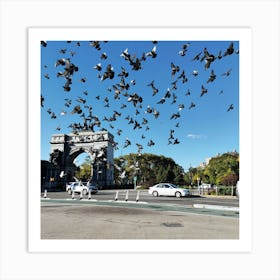 Pigeons In The Park Art Print