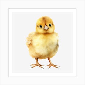 Chicken 2 Art Print