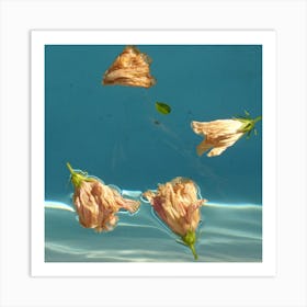 Dead Roses Floating In Water Art Print