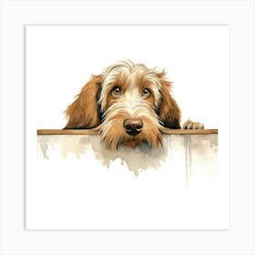 Spinone Italiano Dog Art Print