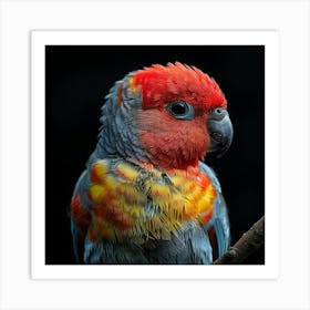 Parrot On A Branch Art Print