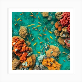 Coral Reef In The Red Sea7 Poster