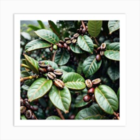 Coffee Beans On A Tree 4 Art Print