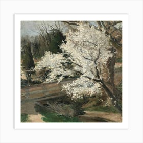 Blossoming Cherry Tree Art Print