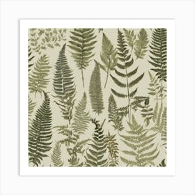 Ferns 3 Art Print