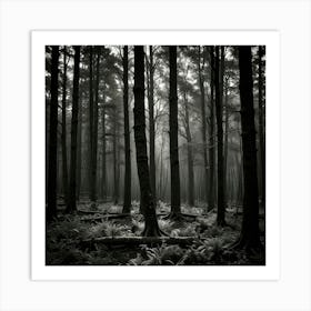 Dark Forest 114 Art Print