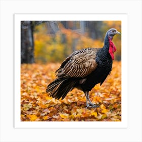 turkey Art Print