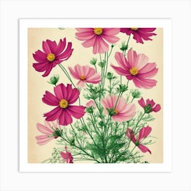 Cosmos 3 Floral Botanical Vintage Poster Flower Art Print Pink Cosmos Art Print