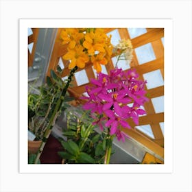 Orchids In A Greenhouse 2 Art Print