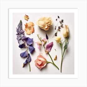 Dried Wild Flowers 4 Art Print