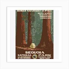 Sequoia National Park Art Print