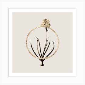 Gold Ring Arabian Starflower Glitter Botanical Illustration n.0294 Art Print