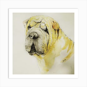 Shar-Pei Art Print