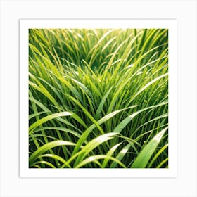 Green Grass Background 32 Art Print