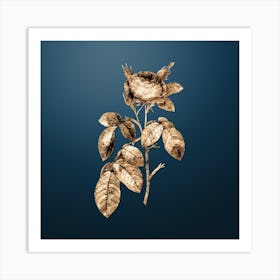 Gold Botanical Red Gallic Rose on Dusk Blue n.1010 Art Print