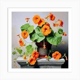 Nasturtium 7 Art Print