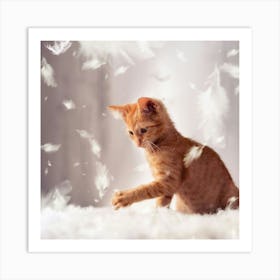 Kitten Playing With Feathers Art Print