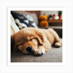 Sleeping Puppy Art Print