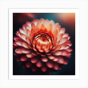 Chrysanthemum Flower 1 Art Print