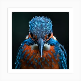 Kingfisher 2 Art Print