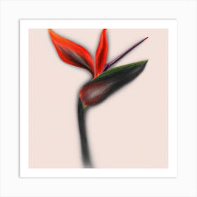 Bird Of Paradise Art Print