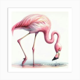 Pink Flamingo 7 Art Print