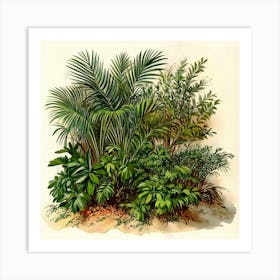 Tropical Plants Art Affiche