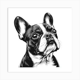 French Bulldog Art Print