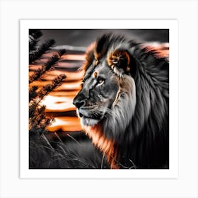 Sunset Lion 3 Art Print