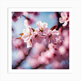 Cherry Blossoms 3 Art Print