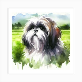 Shih Tzu Art Print