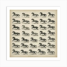 The Horse In Motion Animal Locomotion Art Print 3 Art Print