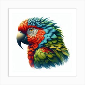 Parrot 1 Art Print