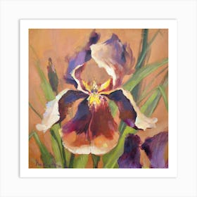 Teracota Iris Art Print