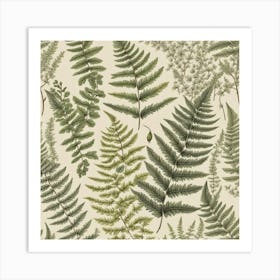 Ferns 8 Art Print