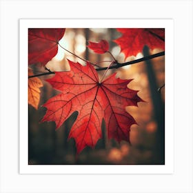 Autumn Leaves Art Print