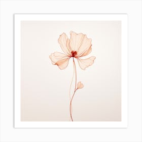 Poppy Flower 5 Art Print