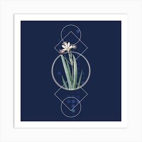 Vintage Harlequin Blueflag Botanical with Geometric Line Motif and Dot Pattern n.0321 Art Print