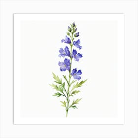 Wild Bluebells Art Print