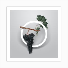 Vintage Dolcetto Grapes Minimalist Floral Geometric Circle on Soft Gray n.0410 Art Print