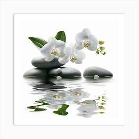 White Orchids 4 Art Print