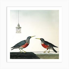 Two Birds With Lantern (I) Art Print