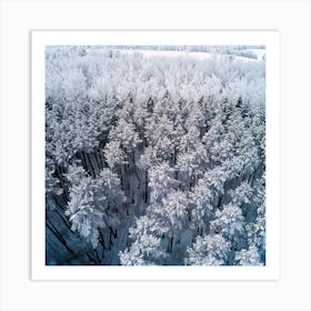 Aerial View Of Snowy Forest Art Print