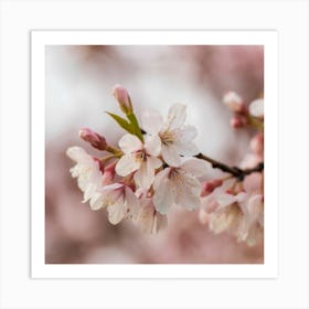 A close-up photograph of a delicately blooming cherry blossom tree in soft pastel tones, capturing the beauty and fleeting nature of spring. This elegant and timeless image can serve as a visually stunning piece of wall art to bring a touch of nature and serenity into any living space. Art Print