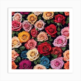 Colorful Roses 43 Art Print