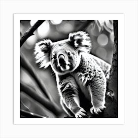 Koala In Tree 1 Art Print