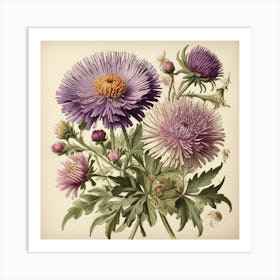 Asters Wildflower Vintage Botanical Art Print 2 Art Print