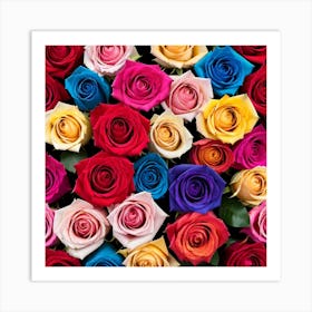 Colorful Roses 24 Art Print