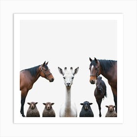 Giraffes And Sheep Art Print