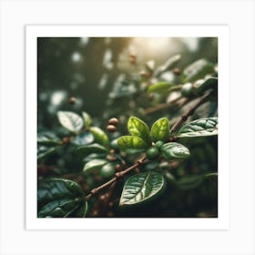 Green Leaves In The Forest Art Print